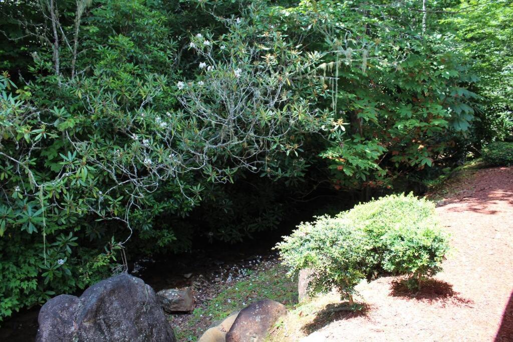 Creekside Gated Golf Mtn Villa W/Fast Wifi & Paved Franklin Εξωτερικό φωτογραφία